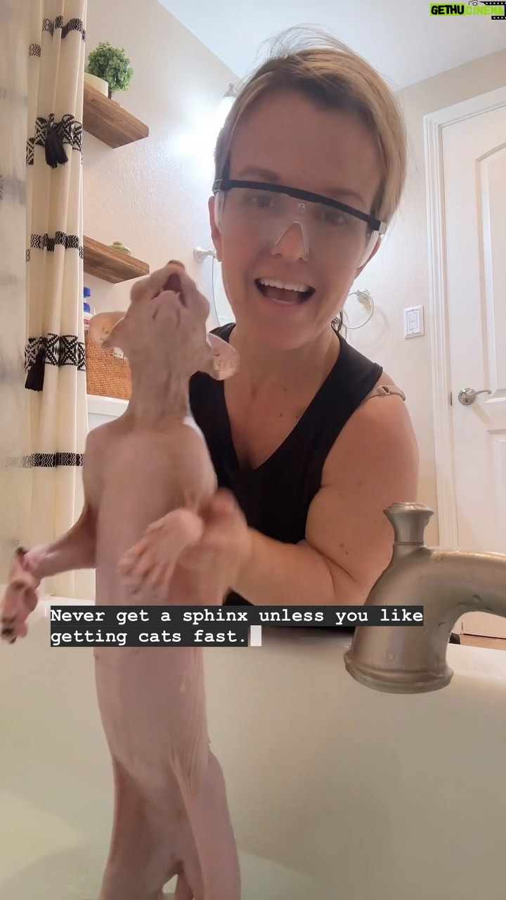 Terra Jolé Instagram - Trixie hates baths. Period. #trixiethesphynx #sphynx #catsofinstagram #hairless #hairlesscat #oddeyedcat #oddeye #catlover