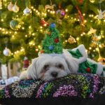 Tess Daly Instagram - Getting in to the Christmas spirit with this one 🐶✨