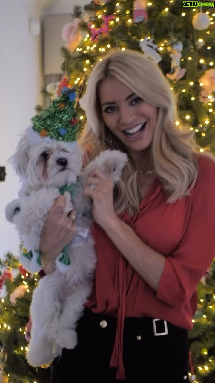 Tess Daly Instagram - ad | Me and Mickey are getting into the Christmas spirit with @marksandspencerfood πΆ β¨ Their light up tins are the perfect treat or gift this Christmas (PLUS, the cookies and shortbread inside them are divine) π Merry Christmas! #thisisnotjust