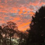 Tess Daly Instagram - What a week that was💥 The silver bag from my @officialbiba range got a red carpet moment on the fabulous Hannah_waddingham✨ warm welcomes were had for @vernonkay return @bbcradio2 plus this mornings beautiful sunrise ☀️ hope you’re all having a good one 🥰