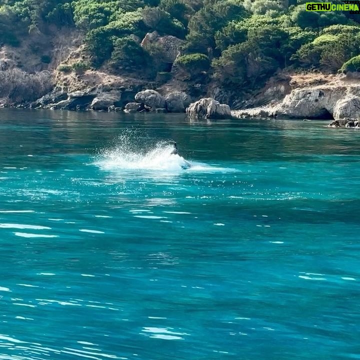 Tess Masazza - 55.2K Likes - Devo imparare il delfinese. š¬š¬š¬
Che meravigliaā¦un risveglio magico questa mattina. Quante emozioni.
šø @manuelbifari
@sailuxecatamarans #felice