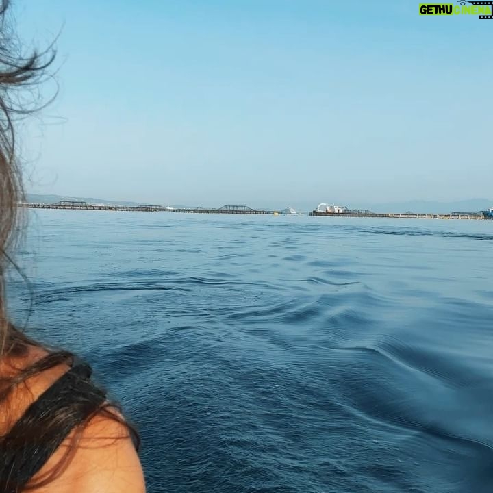 Tess Masazza - 55.2K Likes - Devo imparare il delfinese. š¬š¬š¬
Che meravigliaā¦un risveglio magico questa mattina. Quante emozioni.
šø @manuelbifari
@sailuxecatamarans #felice