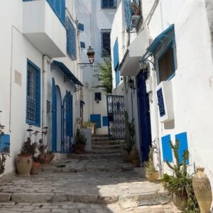 Tess Masazza Instagram - Sidi Bou Said 2023 vs 1991 
Sono tornata nella piccola città dove ho vissuto per diversi anni della mia infanzia. 
Un piccolo gioiello vicino a Cartagine dove regna la pace e le strade profumano di gelsomino. Sono stati anni felici, tanto felici.