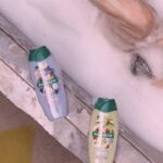 Thalí García Instagram - Apodérate de tus mañanas y dale a tu piel el smoothie que necesita, descubre las 2 presentaciones de #PalmoliveSmoothie, te van a encantar!!! Ya están disponibles en tu supermercado más cercano, cuéntame cuál fue tu favorito💚 #BañoSuave