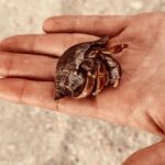 Thalí García Instagram - 🦀🐚 vitamin sea.