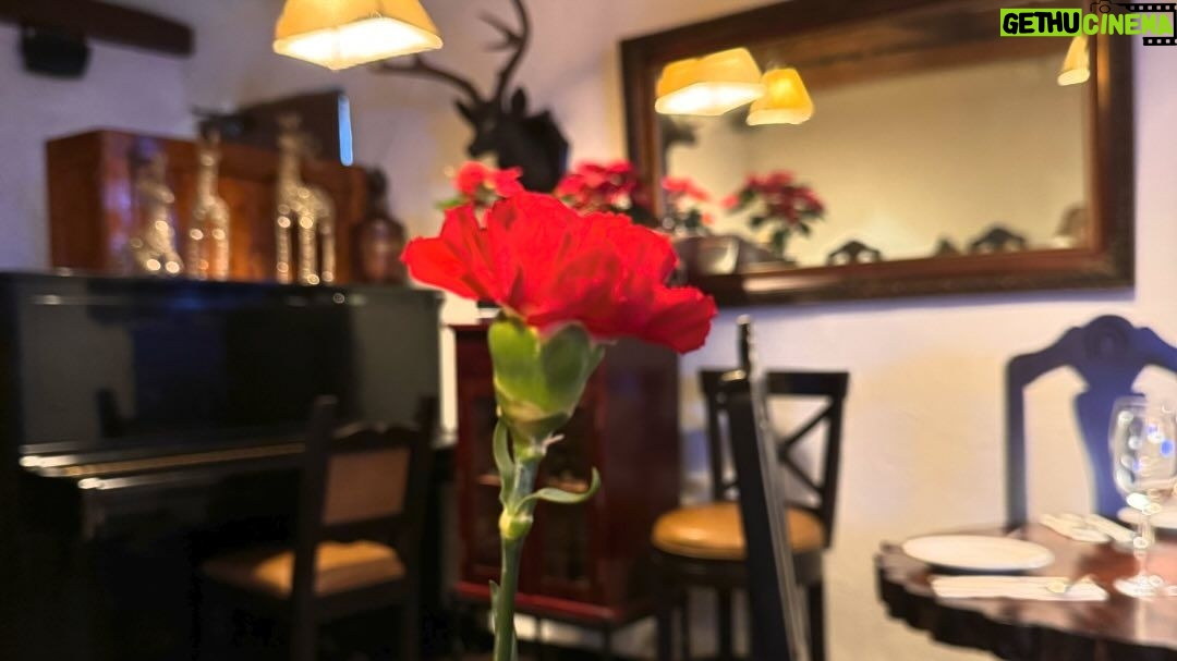 Thalí García Instagram - Mi papá tuvo un accidente hace 6 años, derivado del mismo, desarrolló demencia frontotemporal; una enfermedad sumamente cruel y degenerativa. Hace años que mi padre no sabe quienes somos, ni quién es el, recuerda muy pocas cosas en general. Ver desaparecer lentamente a un ser amado, es un tormento que no le deseo a nadie. Esta época que debería ser solo felicidad, ha sido muy complicada, en días pasados me dolía hasta respirar. Yo soy todo lo que soy gracias a la enseñanzas de mi viejo, fue un padre ejemplar y un ser humano maravilloso, generoso, simpático, daba: hasta lo que no tenía y cuando no tenía te regalaba una sonrisa ó el mejor consejo de tu vida. Le conté que el 2024 venía acompañado de un gran reto, una competencia muy fuerte, le dije que necesitaba de su consejo para ganar, después de toda la tarde intentar robarle unas palabras, me miró dulcemente y me dijo: “Dios te bendiga mijita”. Obviamente no era la respuesta que buscaba, pero vi en sus ojos el gran esfuerzo que hacía para seguir acompañándome y llegué a la inminente conclusión de que aunque mi padre se fuese pronto de este mundo, el vive y sigue existiendo a través de mi. Te dedico todo lo bueno que viene papá, lo recibiré con humildad y lo pelearé con mucha dignidad, te lo prometo por mi amor. Gracias mamá por no abandonar a mi padre, por tu inmenso amor y ternura, por la paciencia y la dedicación con la que sigues amándolo, eres todo lo que está bien en este mundo. Te homenajeo con toda mi admiración y respeto y le pido a la vida que me permita regresarte en esta vida tan solo un poco de lo mucho que nos das. A ustedes que leen: aprovechen, gocen a sus padres, ámenlos, abrácenlos, conversen con ellos. Yo daría mi reino por un café con mi apá. Y si a veces solo les muestro lo rosa que hay en mi vida, es porqué así mismo me enseñó el: veamos lo bueno de la vida, sonriamos al destino cuando nos de la espalda y atesoremos fuerte las oportunidades que la vida nos da. Este año que viene les deseo: amor y salud en compañía de sus seres queridos, por que si tienen eso: lo tienen todo! 🩵 Atte, La hija de Don Simón.