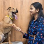 Thamizh Selvi Instagram - Both the allies came to an agreement 🐶 PC : @niyah_krishna