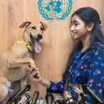 Thamizh Selvi Instagram - Both the allies came to an agreement 🐶 PC : @niyah_krishna