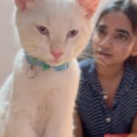 Thamizh Selvi Instagram - Muthu wants to rant 🐱😏