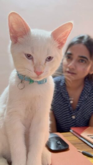 Thamizh Selvi Instagram - Muthu wants to rant 🐱😏