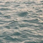 Thanwaporn Nasombat Instagram - หัวหินมีอะไรบ้างงับ 🌊🐚🦪 #นะโมจะเที่ยว