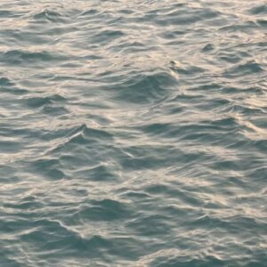 Thanwaporn Nasombat Instagram - หัวหินมีอะไรบ้างงับ 🌊🐚🦪

#นะโมจะเที่ยว