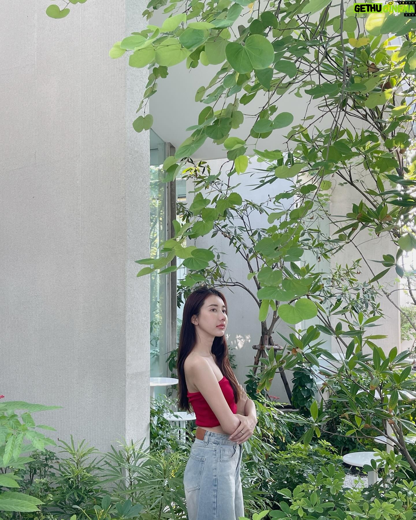 Thanwaporn Nasombat - 3 Likes - ตื่นแล้วฮับบ 🌹