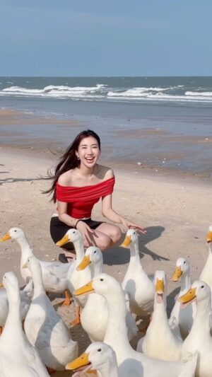 Thanwaporn Nasombat Instagram - แวะมาหาน้อง 🐣🐤 

พิกัด : MORE THAN Beach & Cafe 
ชะอำ 

#นะโมจะเที่ยว