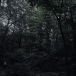 The Kid LAROI Instagram –