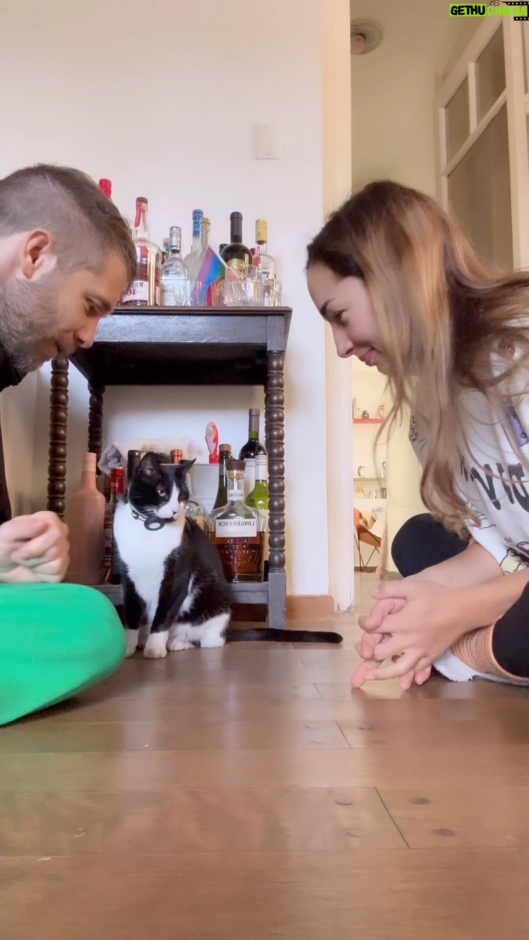 Thelma Fardin Instagram - Quisimos probar el challenge de la patita nosotros también 🙋🏻♀️🐈⬛ Moria es la 1