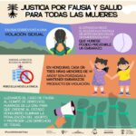 Thelma Fardin Instagram - El caso de Fausia llega al Comité de DDHH de la ONU. En nuestro dia a día ignoramos lo que sucede en estos espacios, pero los precedentes que se sientan a nivel internacional son vitales para marcarle a los organismos judiciales de cada país hacia donde deben apuntar sus estándares. Es decir, tienen impacto sobre muchas vidas. Cuando los países no brindan justicia en nuestros casos, existen instancias internacionales. Este Comité puede emitir una condena a Honduras por las violaciones de derechos humanos contra Fausia y, al tiempo, reconocer nuevos avances en derechos humanos que aplicarán en todo el mundo. Ya no es hacia una persona, sino hacia el Estado responsable y también enriqueciendo los estándares del sistema universal de derechos humanos de la ONU. Gran labor de @reprorightslac y cdmhonduras con la presentación de este caso. Un honor acompañar siempre su trabajo.