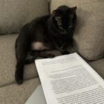 Thelma Fardin Instagram - Lo mejor es India corrigiendo el libro 🐈‍⬛🤓