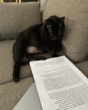 Thelma Fardin Instagram - Lo mejor es India corrigiendo el libro 🐈‍⬛🤓