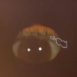 Thelma Fardin Instagram - El último video es mi ojo: pupila e iris convirtiéndose en galaxia 👁️ En el medio Morita bostezando.