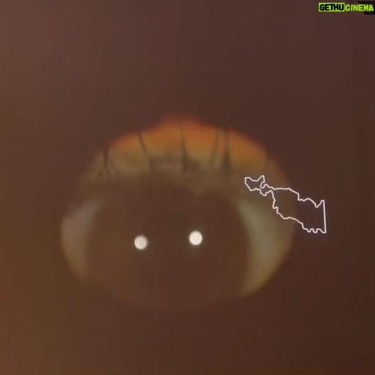 Thelma Fardin Instagram - El último video es mi ojo: pupila e iris convirtiéndose en galaxia 👁️ En el medio Morita bostezando.