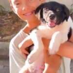 Thiago Fragoso Instagram - Chegou mais um pra essa família! O Ben pede um cachorrinho há muitos anos pra gente… E, hoje, realizou o sonho. Foi muito lindo ver a reação dele quando entendeu que a gente estava adotando um cachorrinho… Todo mundo chorou junto. Obrigado @garranimal pelo lindo trabalho. Conheçam! 💙 #ozzy #pet #cachorro #dog
