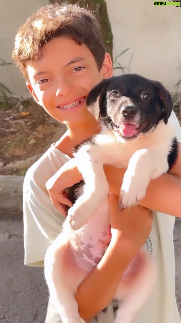 Thiago Fragoso Instagram - Chegou mais um pra essa família! O Ben pede um cachorrinho há muitos anos pra gente… E, hoje, realizou o sonho. Foi muito lindo ver a reação dele quando entendeu que a gente estava adotando um cachorrinho… Todo mundo chorou junto. Obrigado @garranimal pelo lindo trabalho. Conheçam! 💙 #ozzy #pet #cachorro #dog
