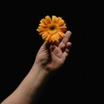 Thomas Sanders Instagram - All for one, and one floral. 🌺 (📸: @jameslightner)