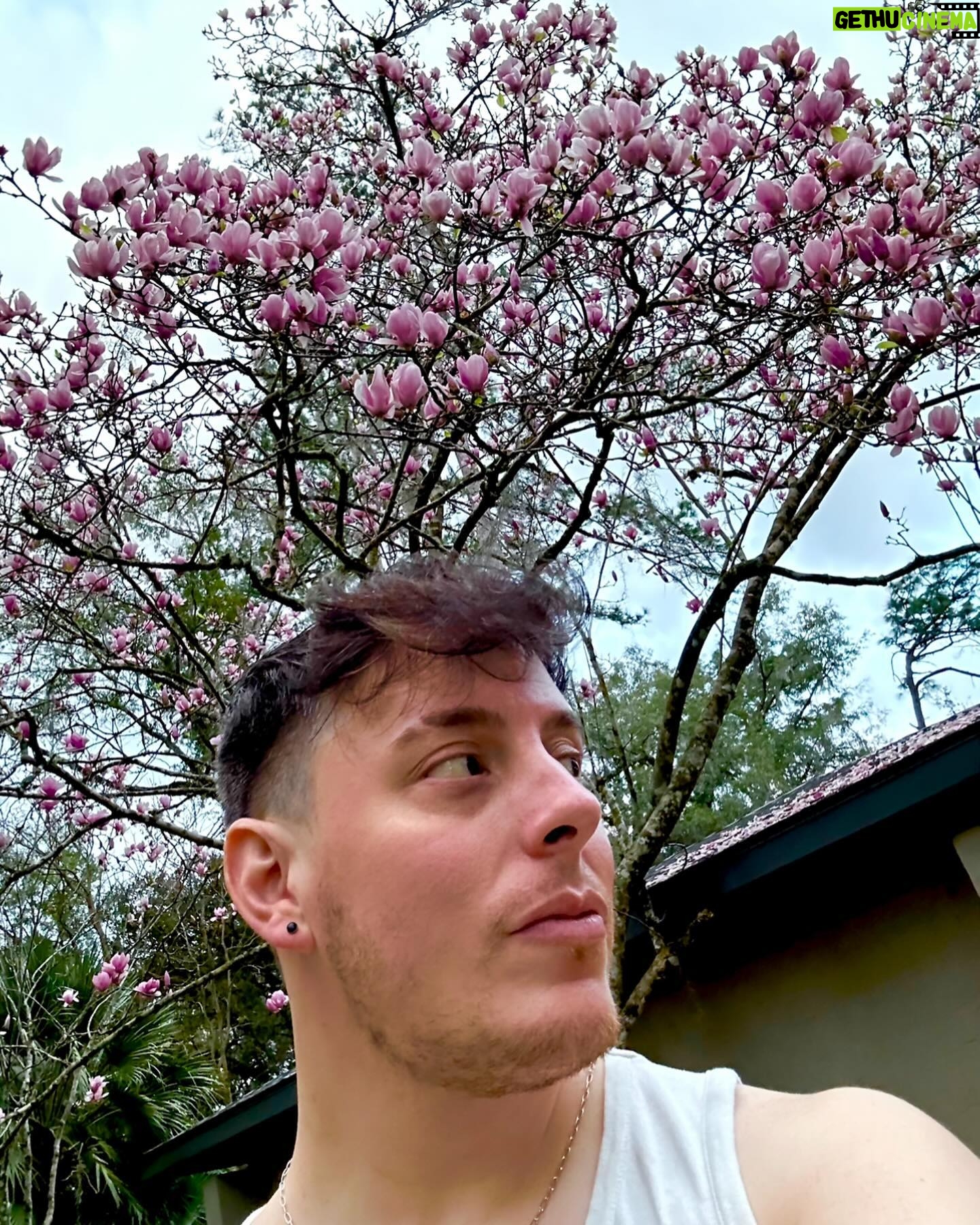 Thomas Sanders Instagram - It’s been a month of weddings, escape rooms, and silly videos 🌸