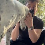 Thomas Sanders Instagram - This past weekend, I had to say goodbye to Oliver. It was his time, and I know he’s now running in big green fields somewhere, maybe hanging once again with his ole pal, Lucy. I love you, Oliver. Forever my sassy lassie. 🖤