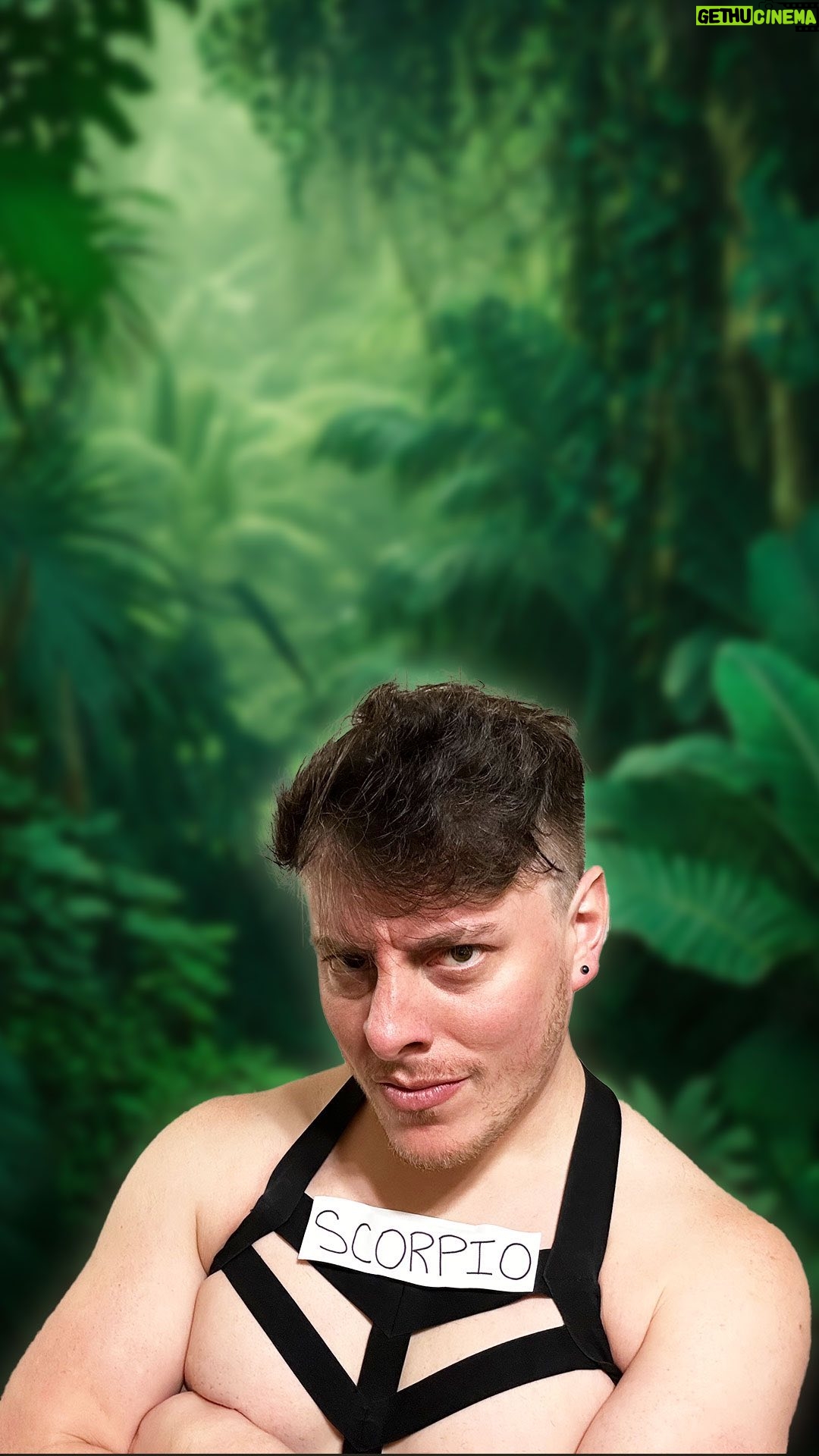 Thomas Sanders Instagram - NEW VIDEO: “Zodiac Signs in the Apocalypse” ☄️ (Link to the full video up in my bio! ☝️) #comedy #relatable #signs #zodiac #astrology #taurus #libra #cancer #aries #pisces #sagittarius #capricorn #scorpio #aquarius #leo #virgo #gemini #apocalypse