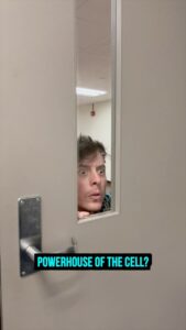 Thomas Sanders Instagram - They were right… 🔬 #relatable #comedy #online #internet #twitter #legendofzelda #link