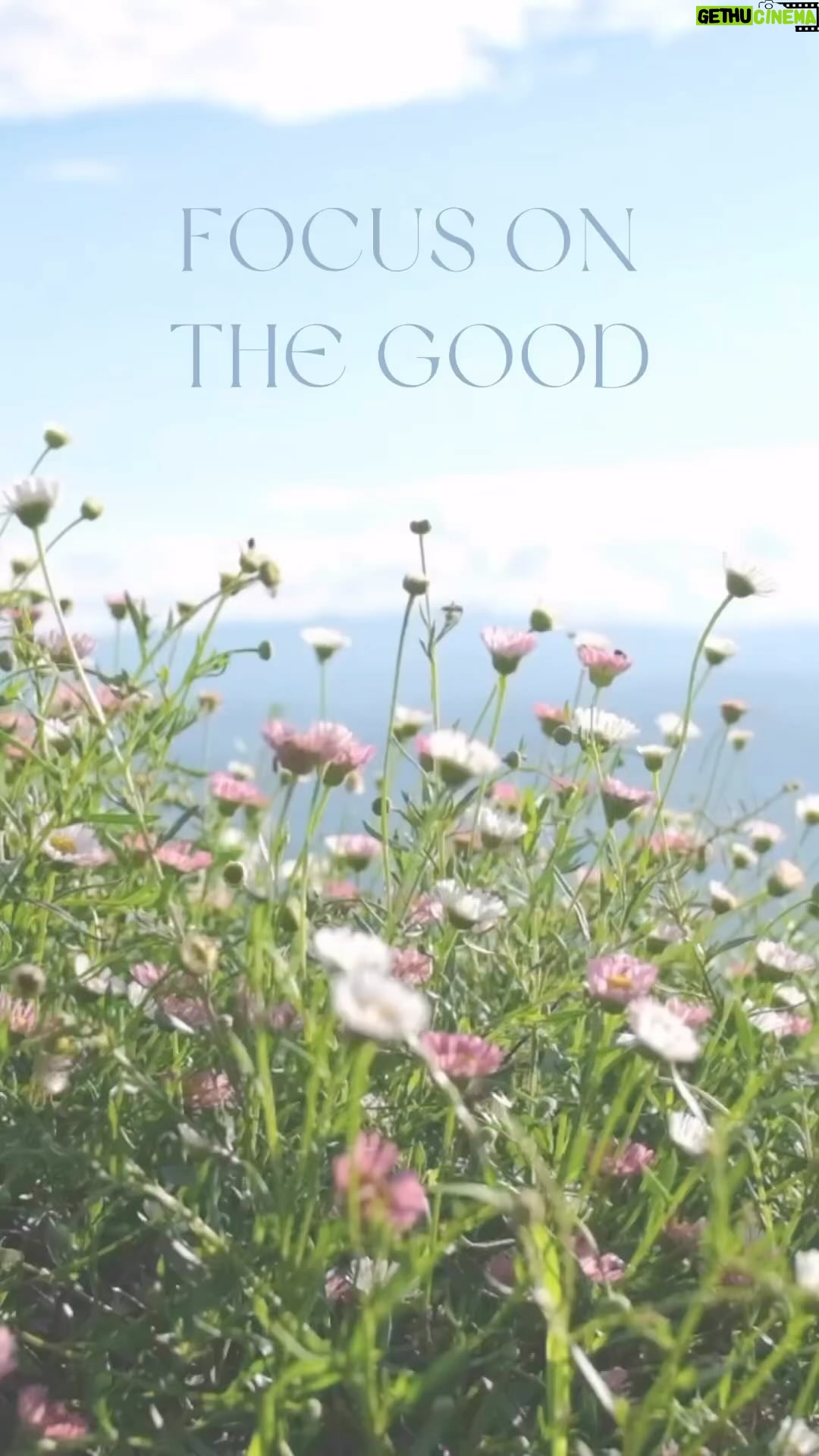 Tika Sumpter Instagram - #RP Daily Reminder: When you focus on the good, the good gets better. ðŸ’💕@lovefortsumpter