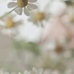 Tika Sumpter Instagram – Be kind while blooming. Love you.