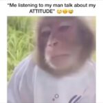 Tika Sumpter Instagram - I don’t know what attitude he be talking about. That’s intense listening to me. @nickjames138 😂