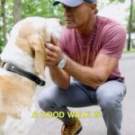 Tim McGraw Instagram - There’s no better way to start the day than with a good walk… just ask Caesar and Stromboli!