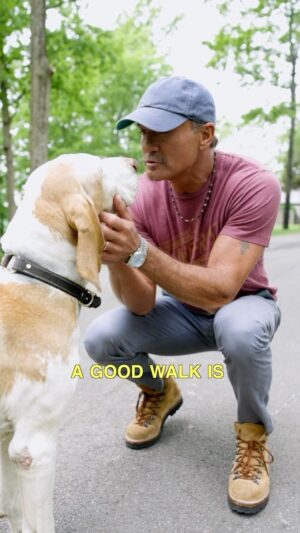 Tim McGraw Instagram - There’s no better way to start the day than with a good walk… just ask Caesar and Stromboli!