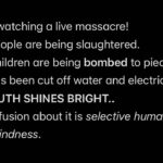 Tima Shomali Instagram - #gaza 💔