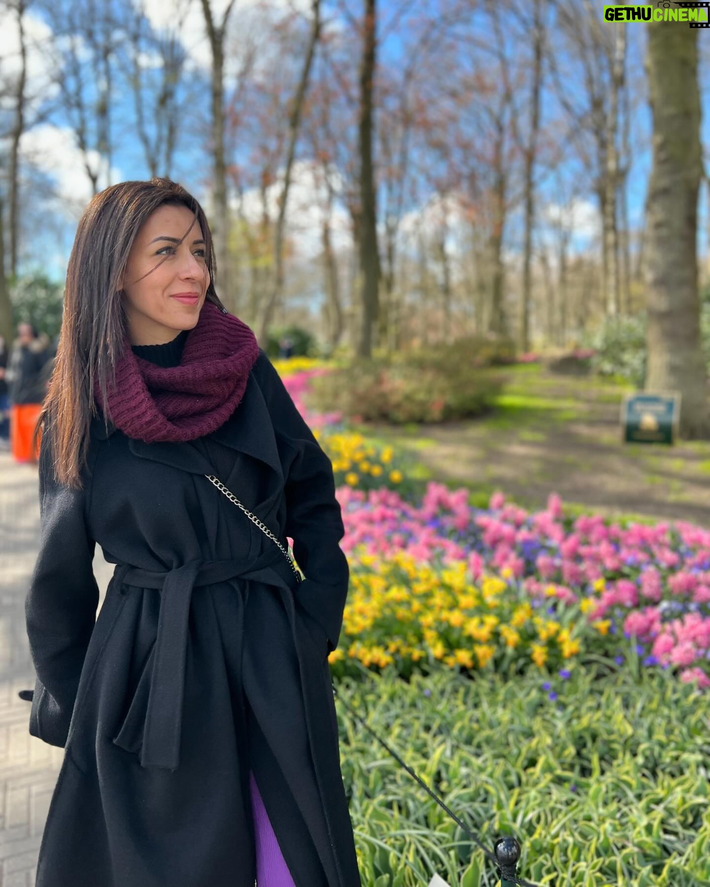 Tima Shomali Instagram - Sister fav moments 💕 happy birthday to my best friend, my fake twin, my travel partner, my little sister love you @reemshomali 🤍