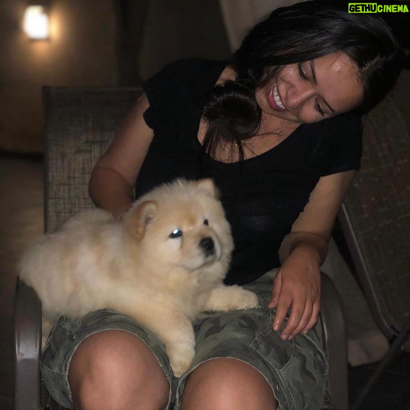 Tima Shomali Instagram - Today @elza3ra turns 3 years old ππΆπ₯³ happy birthday to my grumpy baby, my protector and bundle of joy
