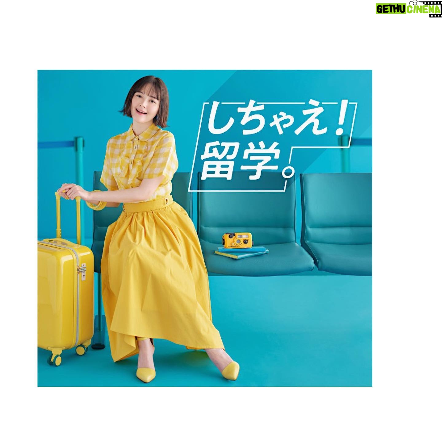 Tina Tamashiro Instagram - 何年か前に撮った広告ですが🐬 やっと海外も自由に行き来しやすく なり、旅行、留学、色々未来について 考える方も増えたと思います☺️🌟 イメージモデルをさせて頂いている スマ留では、無料のカウンセリング (オンラインと東京にはサロンも) そして周りでもよく聞くワーホリについての相談なども 行っているそうなので、ぜひ サイトにとんでみてください✈︎✈︎ #スマ留 #留学 #海外留学 #ワーホリ 私も20代のうちに留学したいなあ😚