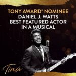 Tina Turner Instagram - What an incredible achievement! I’m so proud of my #TINABroadway cast, crew and creative team. Congratulations on your 12 Tony Award® Nominations including Best Musical. @tinabroadway @adriennelwarren @katorihall @dwattswords  #TonyAwards