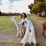 Tisanart Sornsuek Instagram - อาปาก้า🦙นี่เราเอง อาปาเช่ 🚁 #tisanartmemorytravel