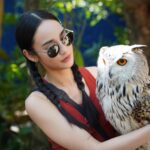 Tisanart Sornsuek Instagram - จะเอากลับบ้านนนนนนนน สัตว์ที่ชอบที่สุดในโลกกกกกก🦉