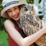 Tisanart Sornsuek Instagram - จะเอากลับบ้านนนนนนนน สัตว์ที่ชอบที่สุดในโลกกกกกก🦉