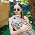 Tisanart Sornsuek Instagram - จะเอากลับบ้านนนนนนนน สัตว์ที่ชอบที่สุดในโลกกกกกก🦉