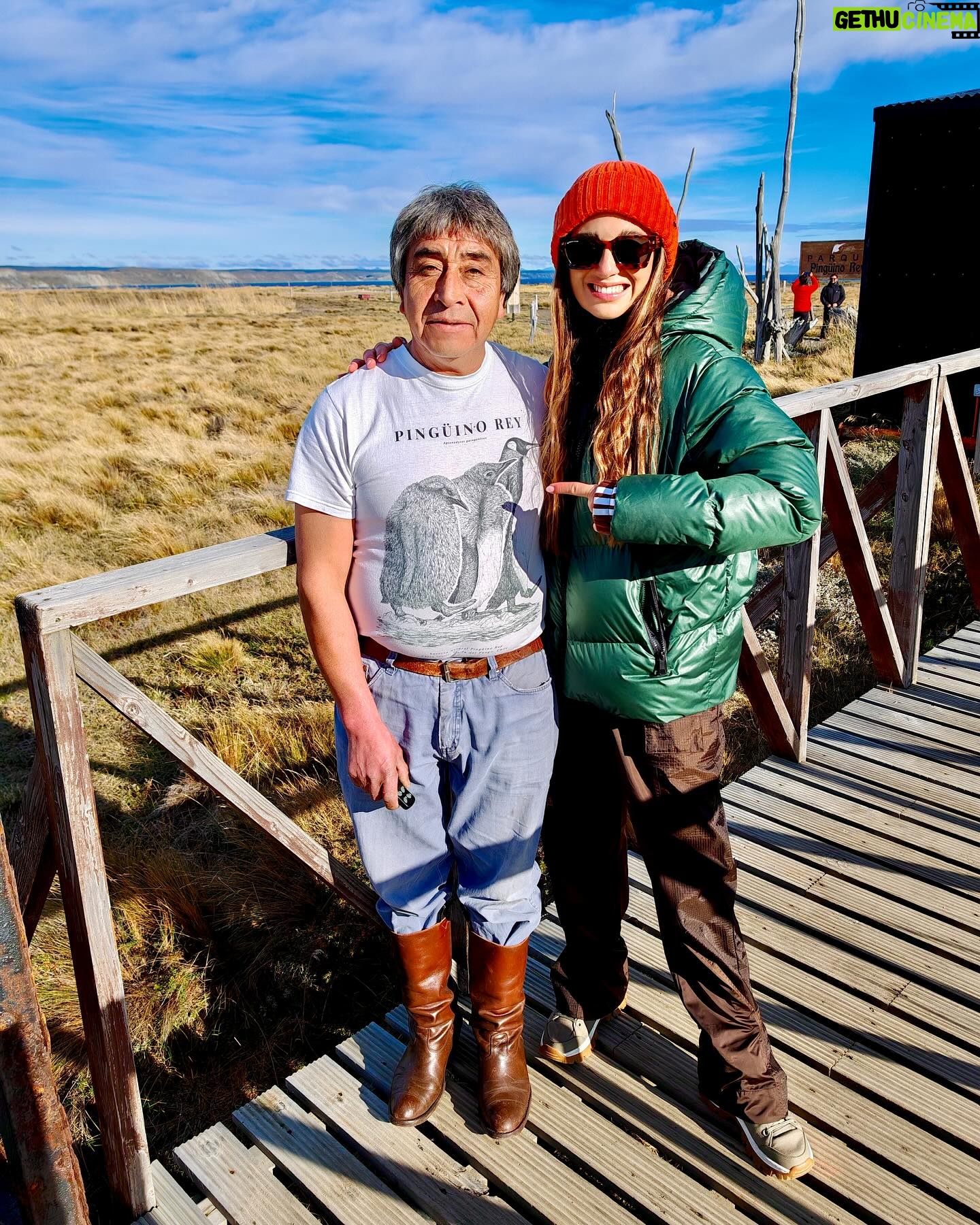 Tita Ureta Instagram - Al fin los vi! agradezco todos los días por las experiencias. Hace dos años fui al fin del mundo a ver si veía un pingüino rey. Intento fallido, no pudimos verlos. Está vez, me invitaron al lanzamiento del #HONORMagic6Pro en el fin del mundo y la vida nos premió con tremenda experiencia, nos llevamos tremendas postales. Qué mágico que es #chile. Estar en la ciudad y en un día poder estar en Tierra Del Fuego, un lujo. Amé las fotos que capta esta nueva joyita. @honor_chile #HONORMagic6Pro