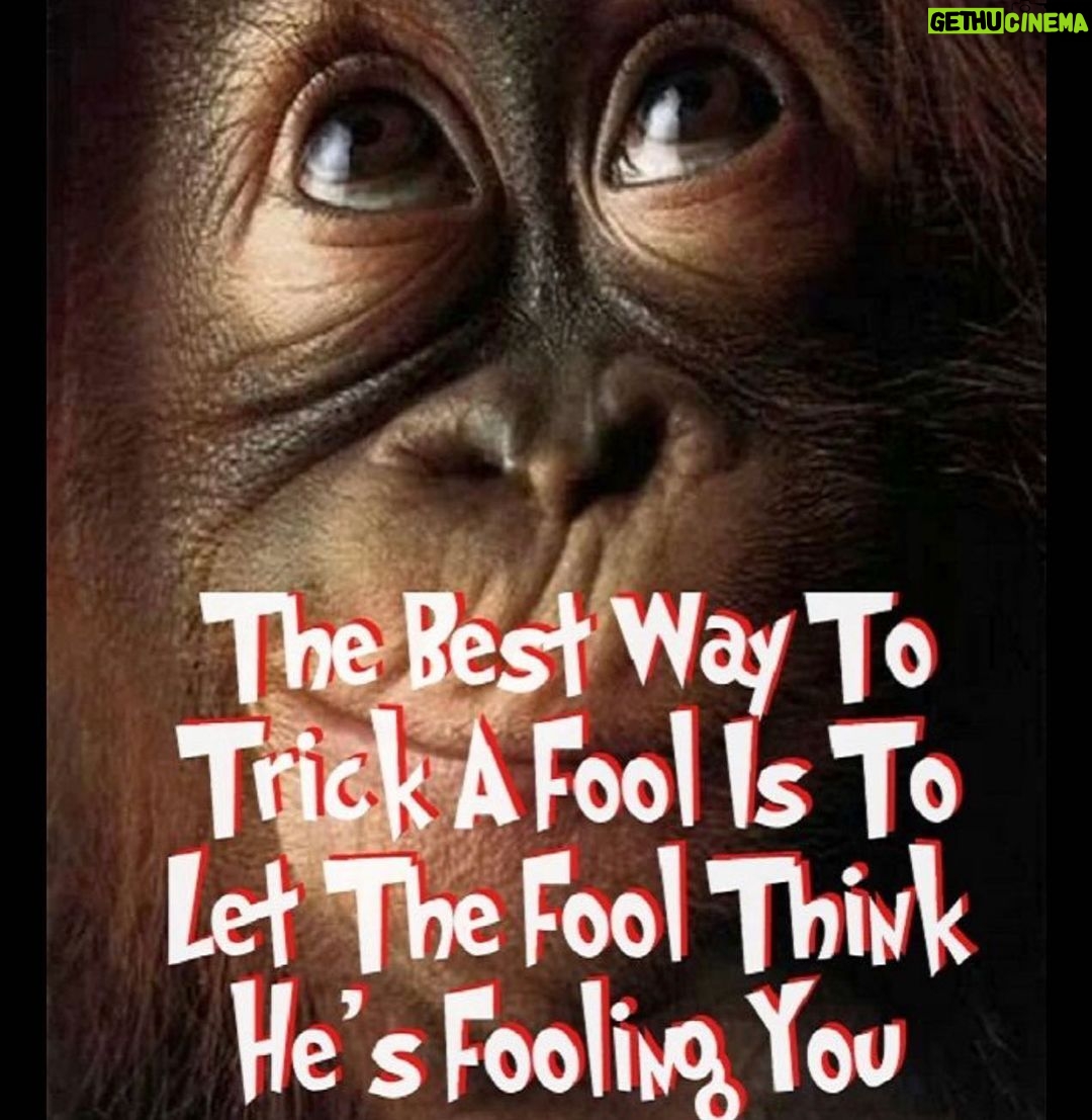 Todd Chrisley Instagram - Not everything that’s been done wrong to you warrants a response, sometimes silence is the only response needed to let someone know you bid them farewell. Ask God to bless them and move them on,just as God blesses and moves you on.