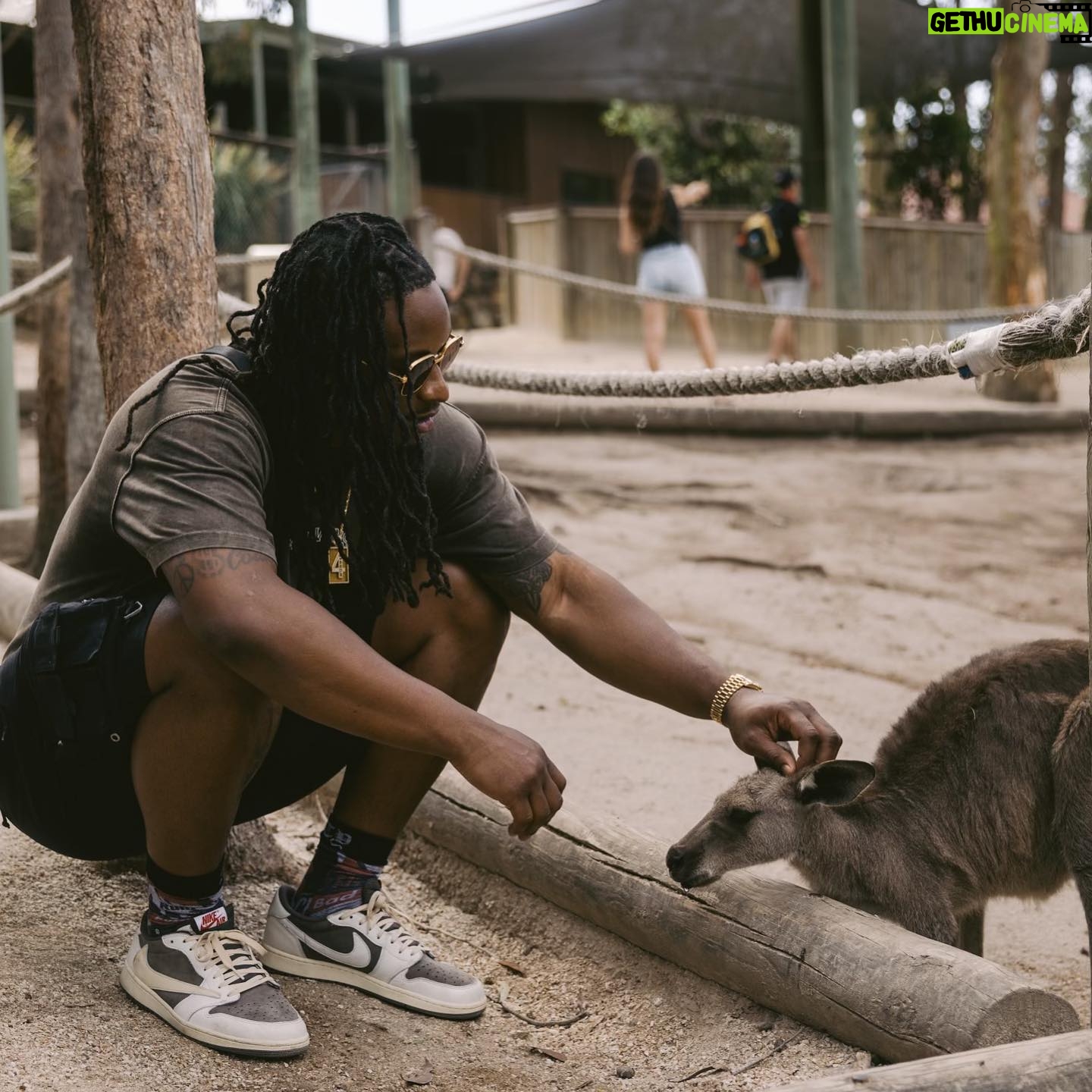 Todd Gurley - 23.9K Likes - 🇦🇺🖤
