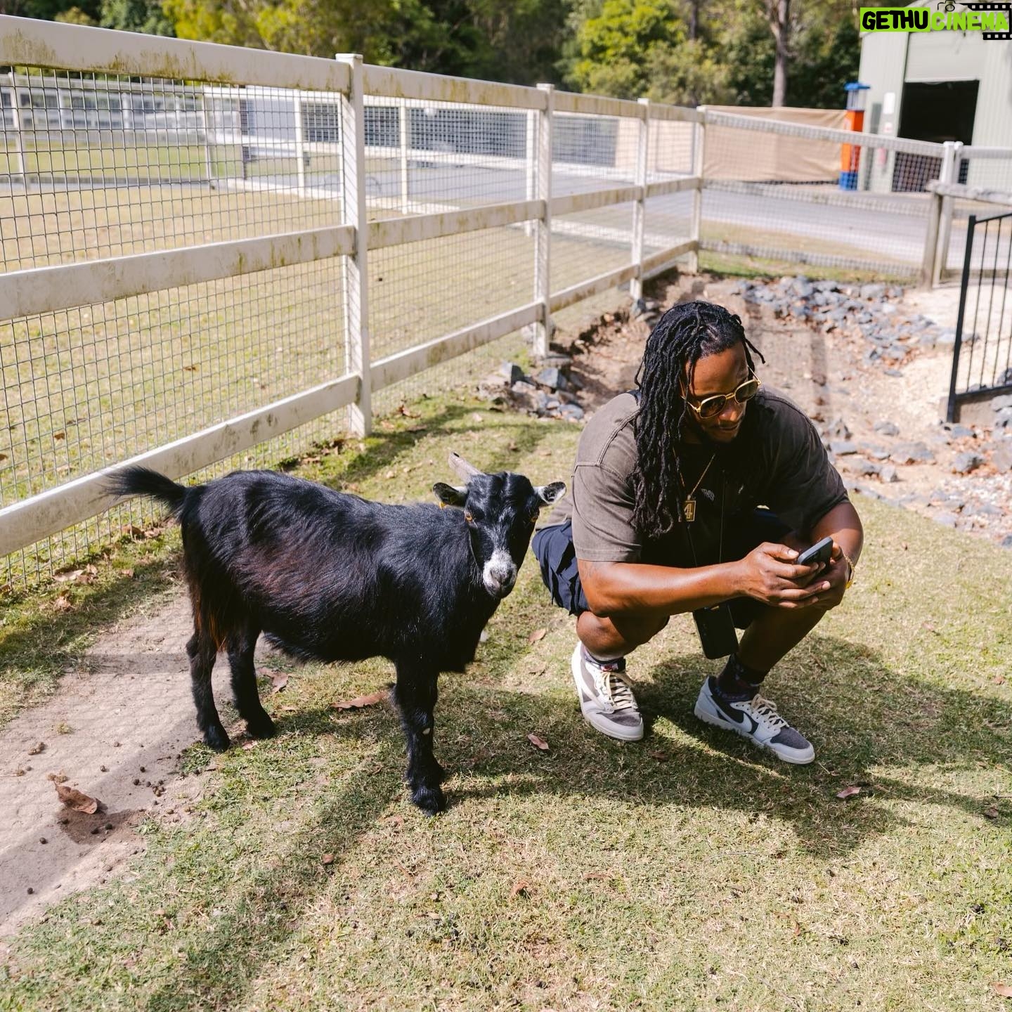 Todd Gurley - 23.9K Likes - 🇦🇺🖤